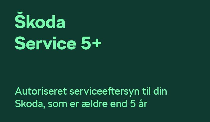  Er din Škoda fyldt 5 år?